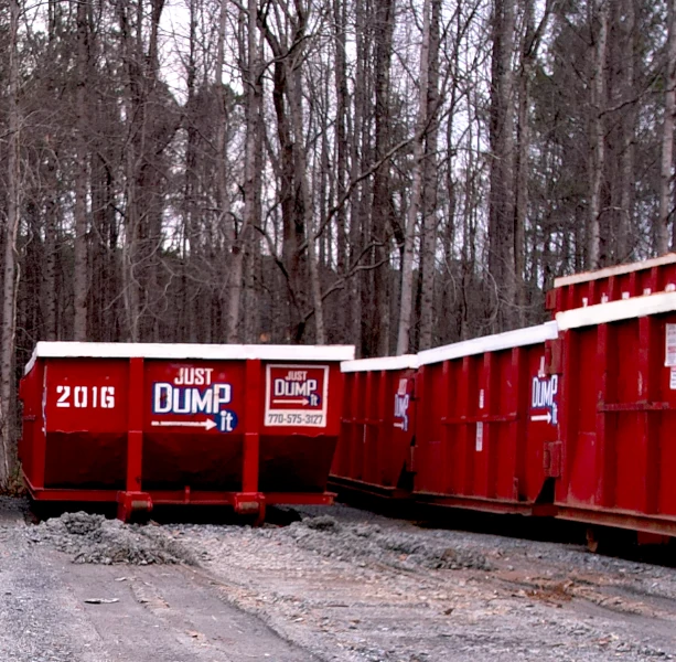 An image featuring debris removal by Just Dump It LLC in Atlanta Georgia
